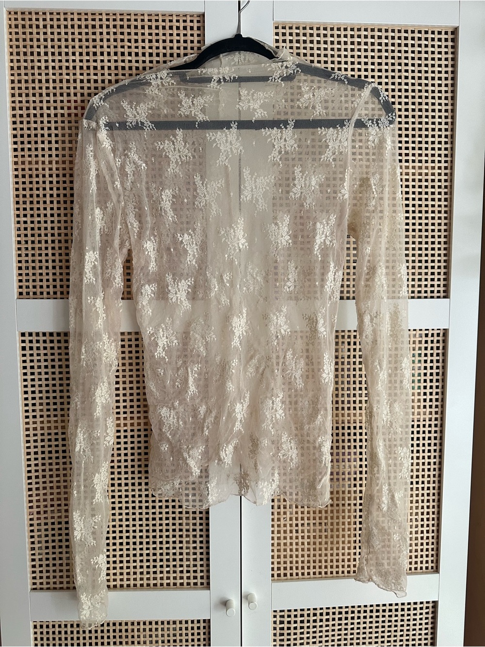 Free People Sheer Floral Lace Long-Sleeve Top in Cream